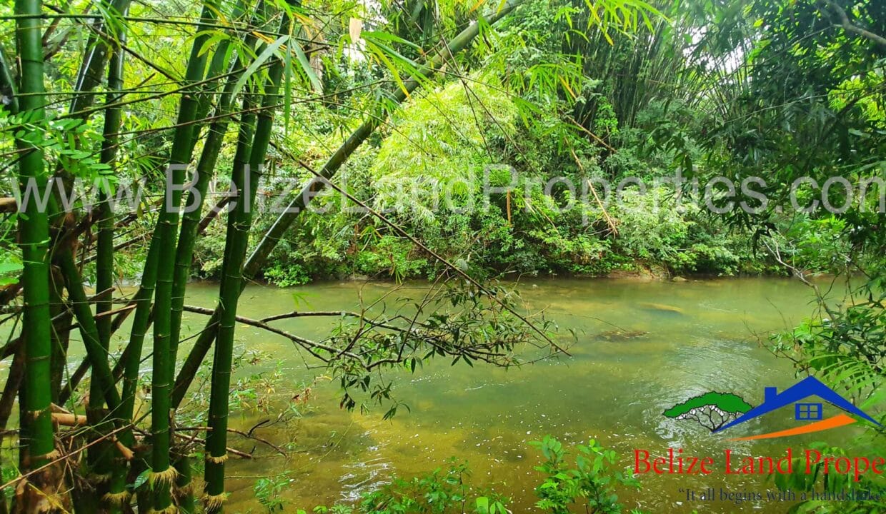 Real-Estate-For-Sale-on-Mullins-River-Belize-scaled