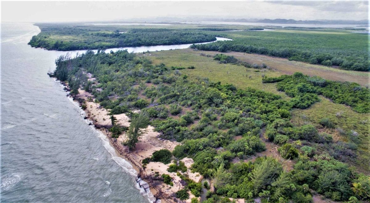 PRISTINE 700 OF BEACH FRONT PROPERTY NORTH OF MANATEE BAR