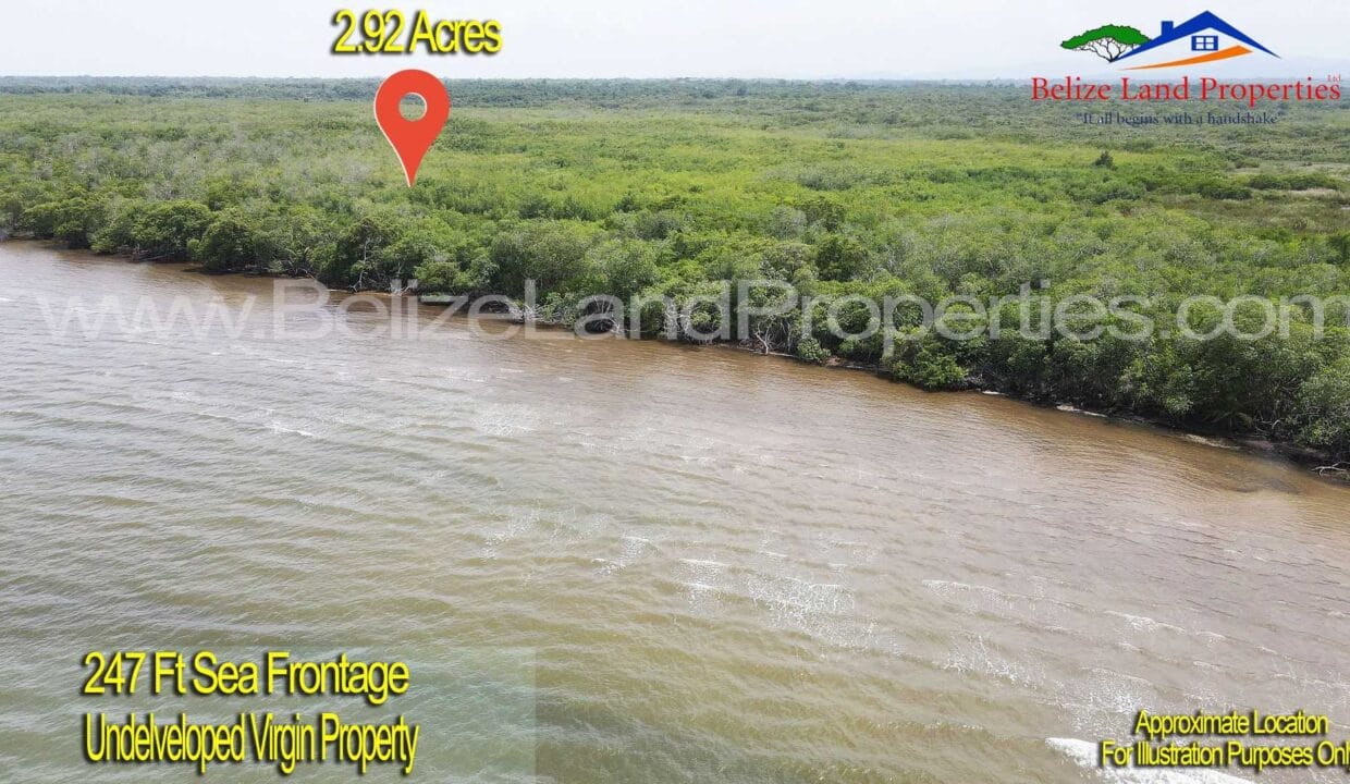 Undeveloped-Virgin-Property-For-Sale-North-of-Dangriga