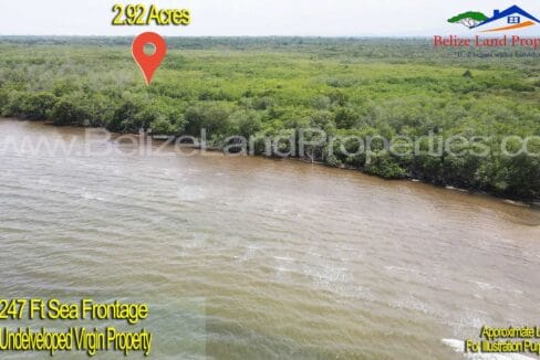 Undeveloped-Virgin-Property-For-Sale-North-of-Dangriga