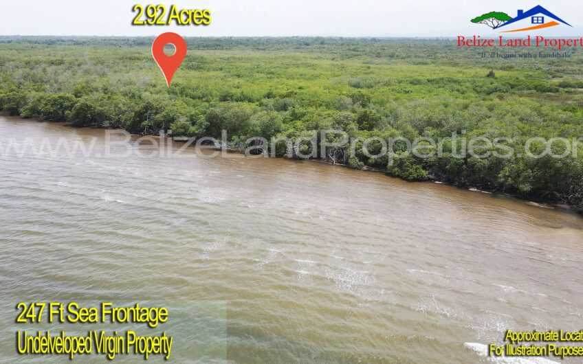 Undeveloped-Virgin-Property-For-Sale-North-of-Dangriga-848x530