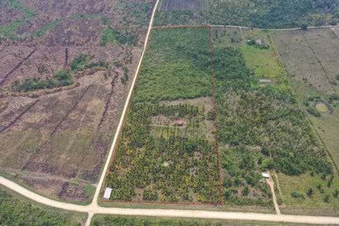 outline-0f-24-acres-coconut-farm-web-2