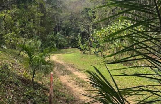 7.5 acre Farmland in Belmopan