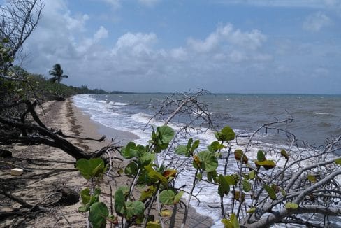 beach-looking-north-1740x960-c-center