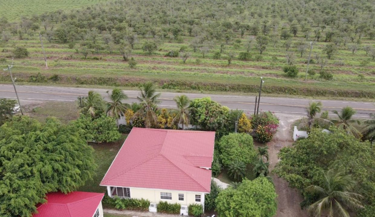 four-bedroom-house-jungle-1740x960-c-center