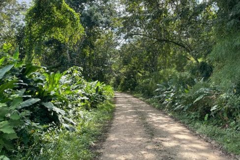 picture-of-riverfront-property-belize-1740x960-c-center