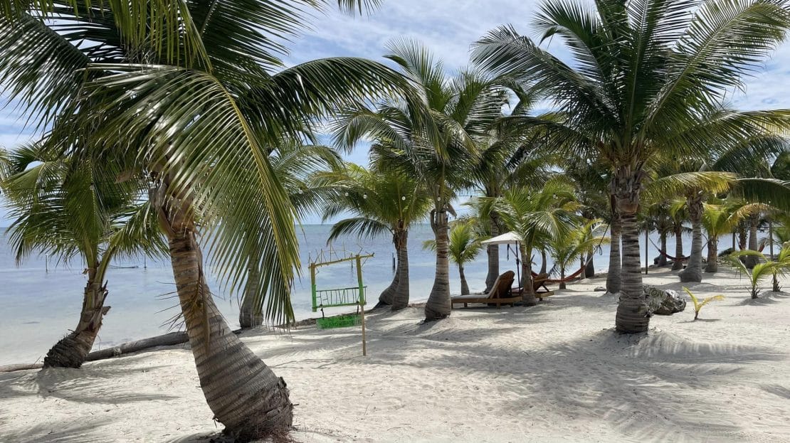 Beachfront-Resturant-for-sale-22-1110x623