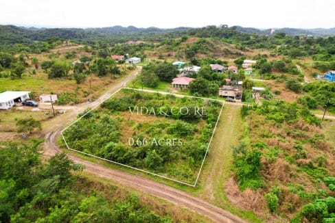 0.6 Acre Block for sale (1)