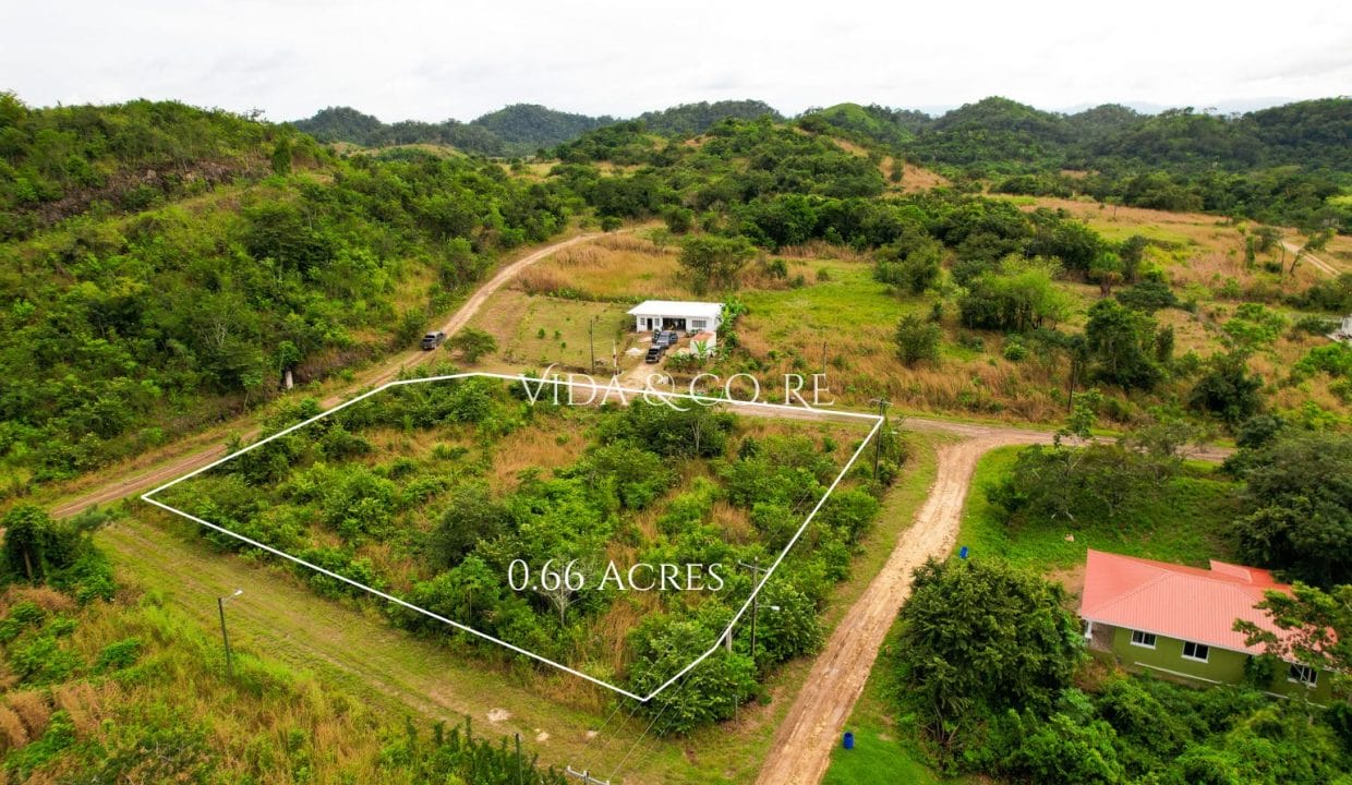 0.6 Acre Block for sale (2)