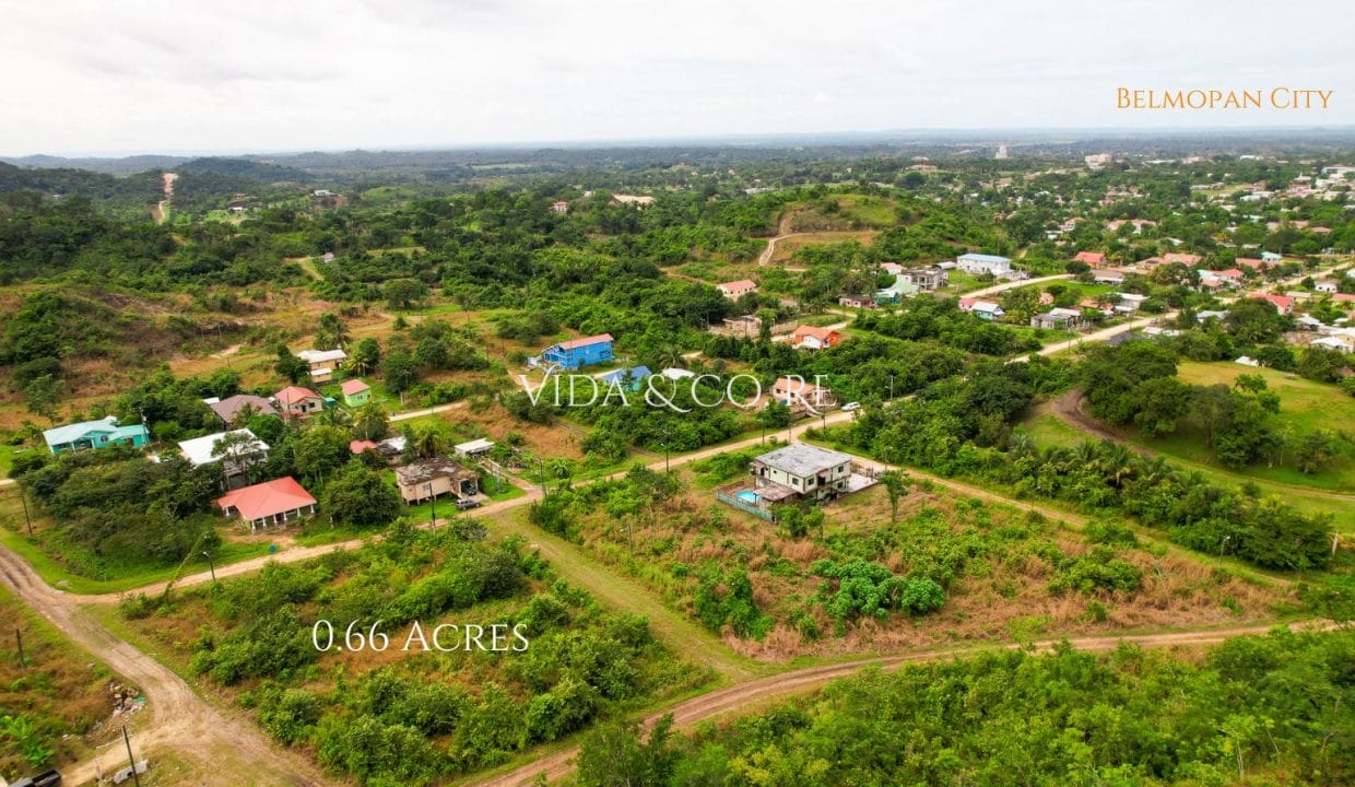 0.6 Acre Block for sale (3)