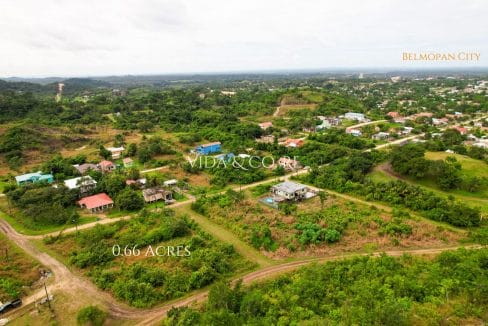 0.6 Acre Block for sale (3)