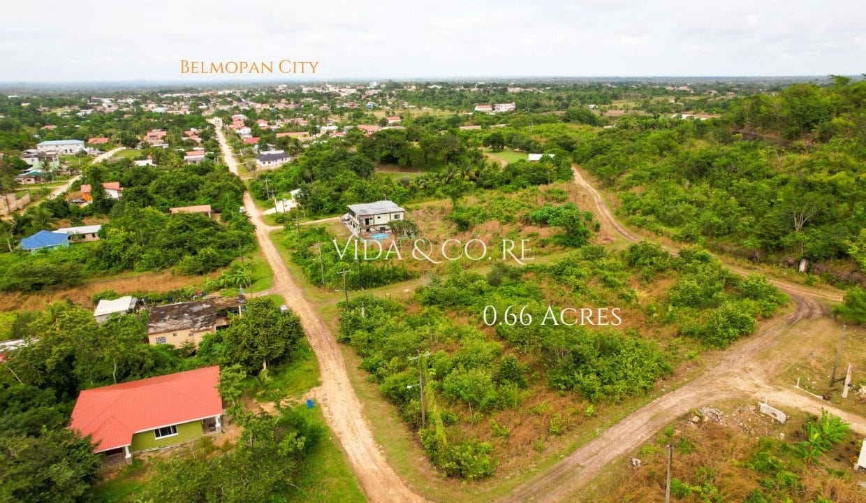 0.6 Acre Block for sale (5)