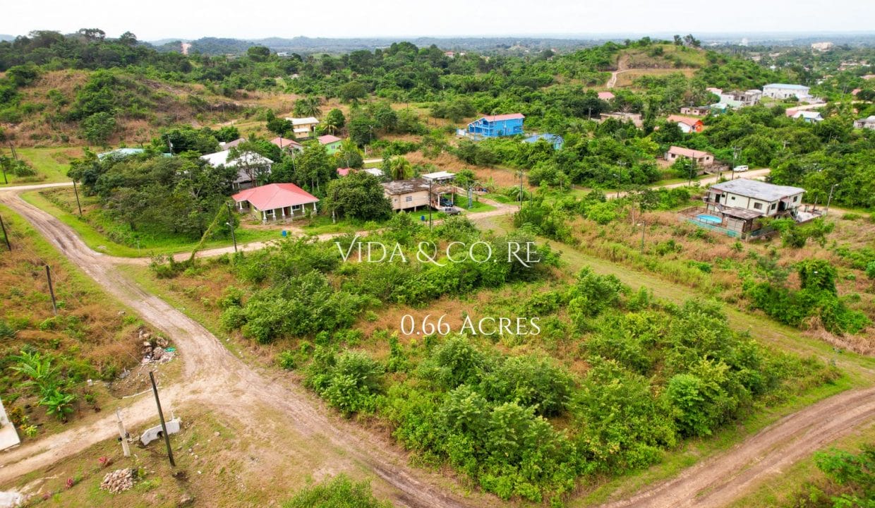 0.6 Acre Block for sale (6)