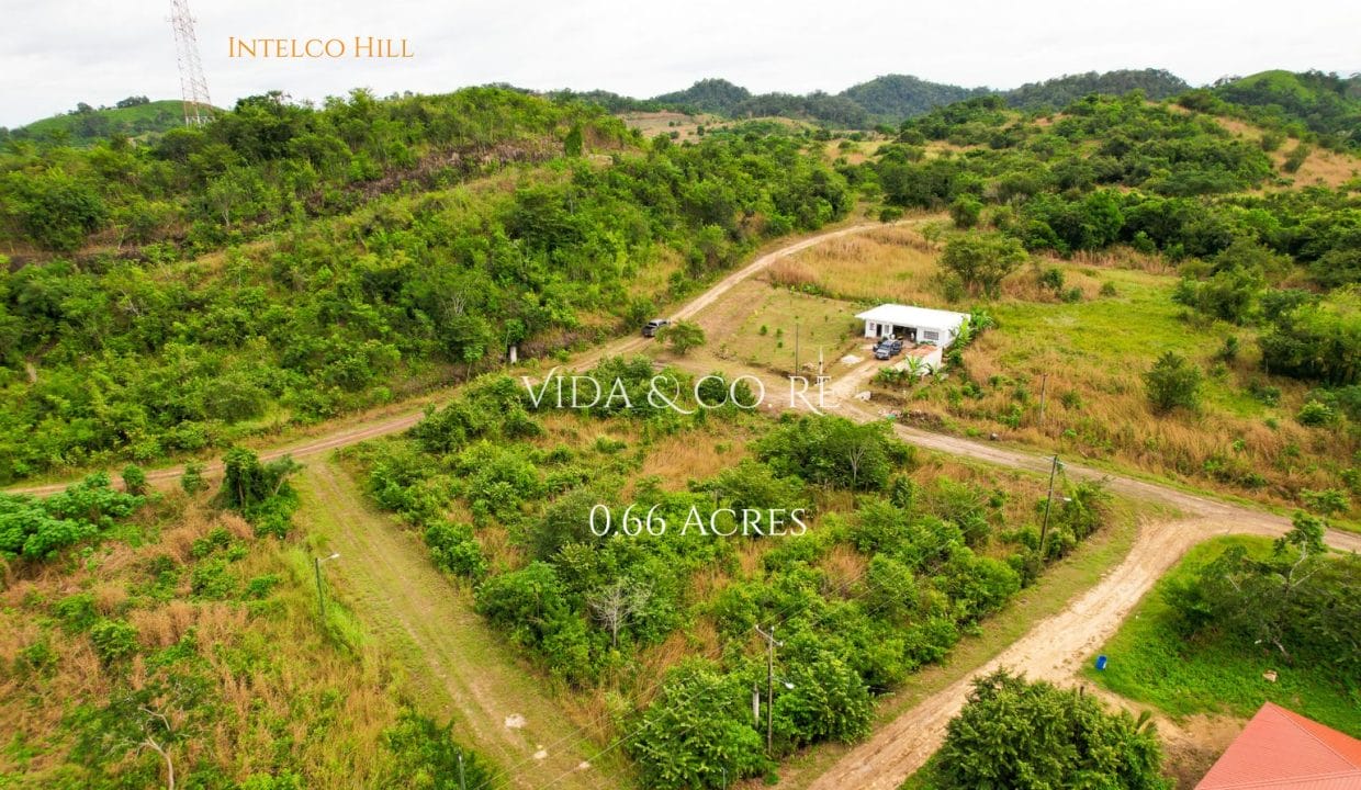 0.6 Acre Block for sale (7)