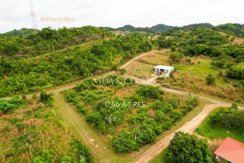 0.6 Acre Block for sale (7)