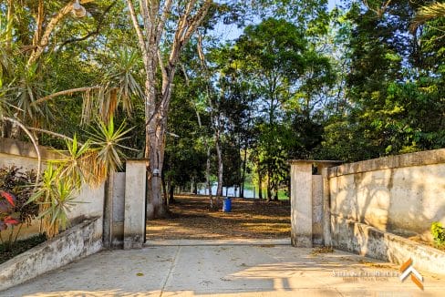 Bullet Tree River Front (1)