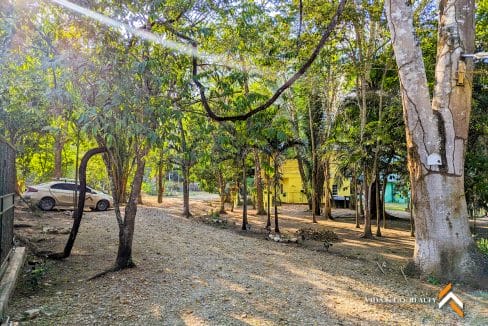 Bullet Tree River Front (2)