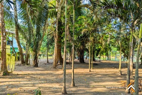 Bullet Tree River Front (4)