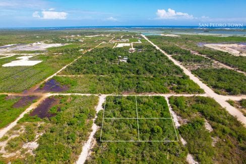 Grand belizean Estates Lots For Sale (3)