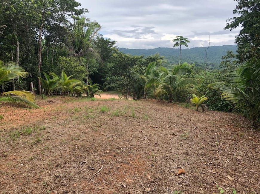 Highway lots for sale in Belize