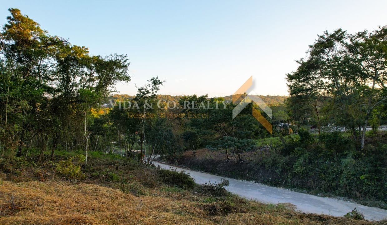 San Ignacio Lots for Sale (10)