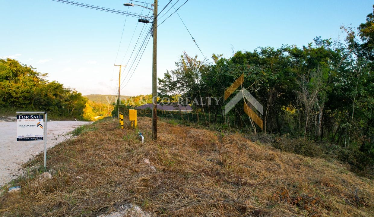 San Ignacio Lots for Sale (9)