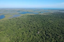 PF0030-aerial-view-of-Boatman-estate-270x180-c-center