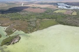 Progresso-16_48-Acres-270x180-c-center