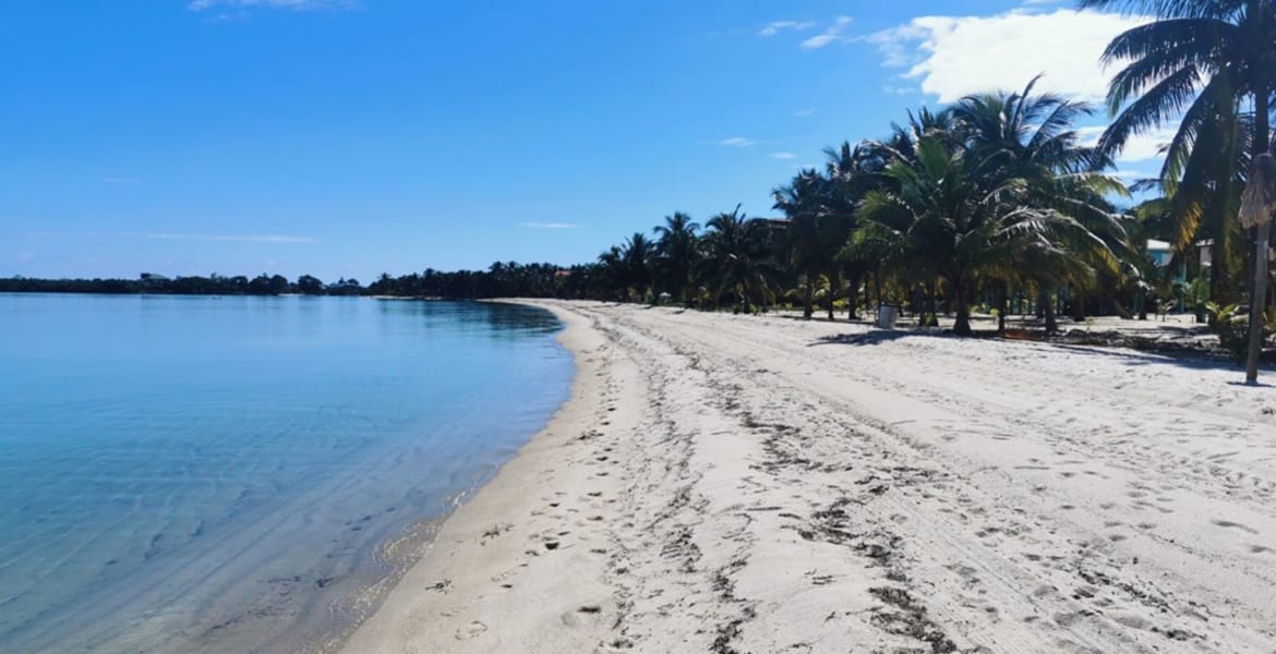 beachfront-lot-for-sale