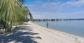 beachfront-lot-in-placencia-for-sale-270x0-c-center