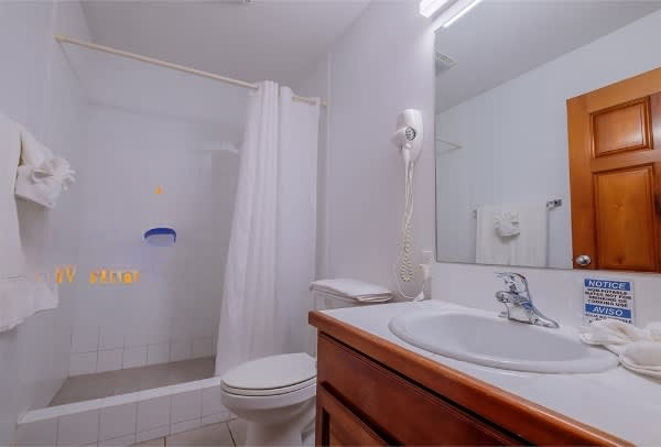 guest-bathroom