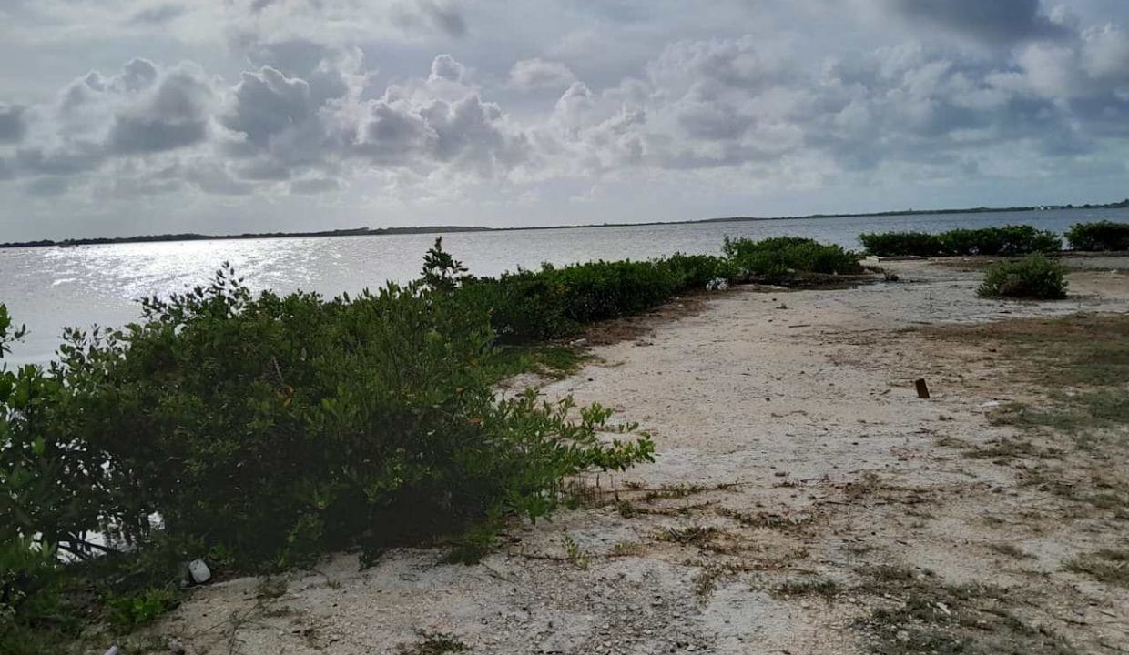 looking-west-from-southeast-corner-of-lot-2