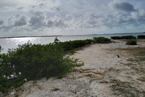 looking-west-from-southeast-corner-of-lot-2