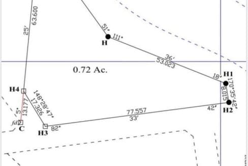 survey-lines