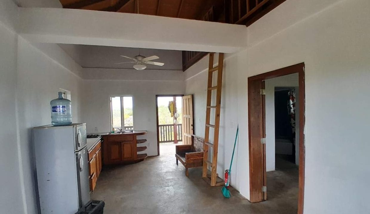 view-from-living-room-showing-side-door-and-kitchen