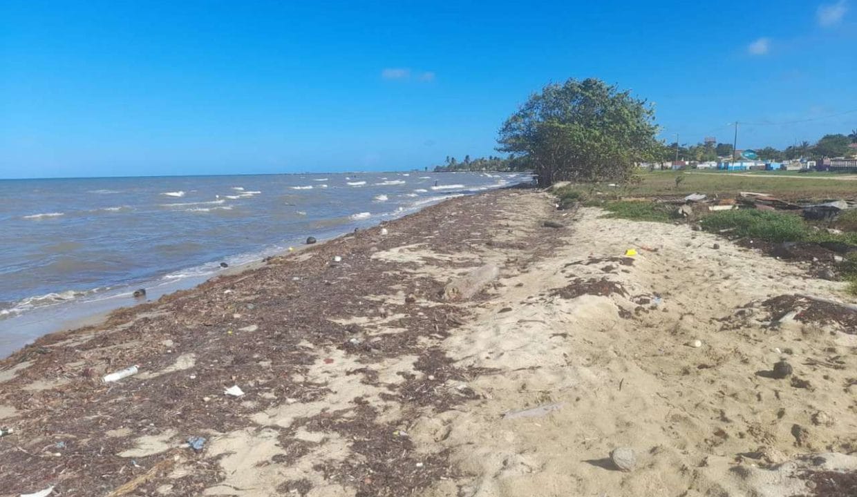 view-of-the-beach